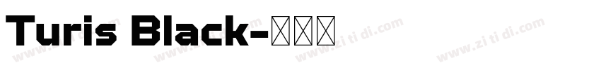 Turis Black字体转换 Turis Black字体转换